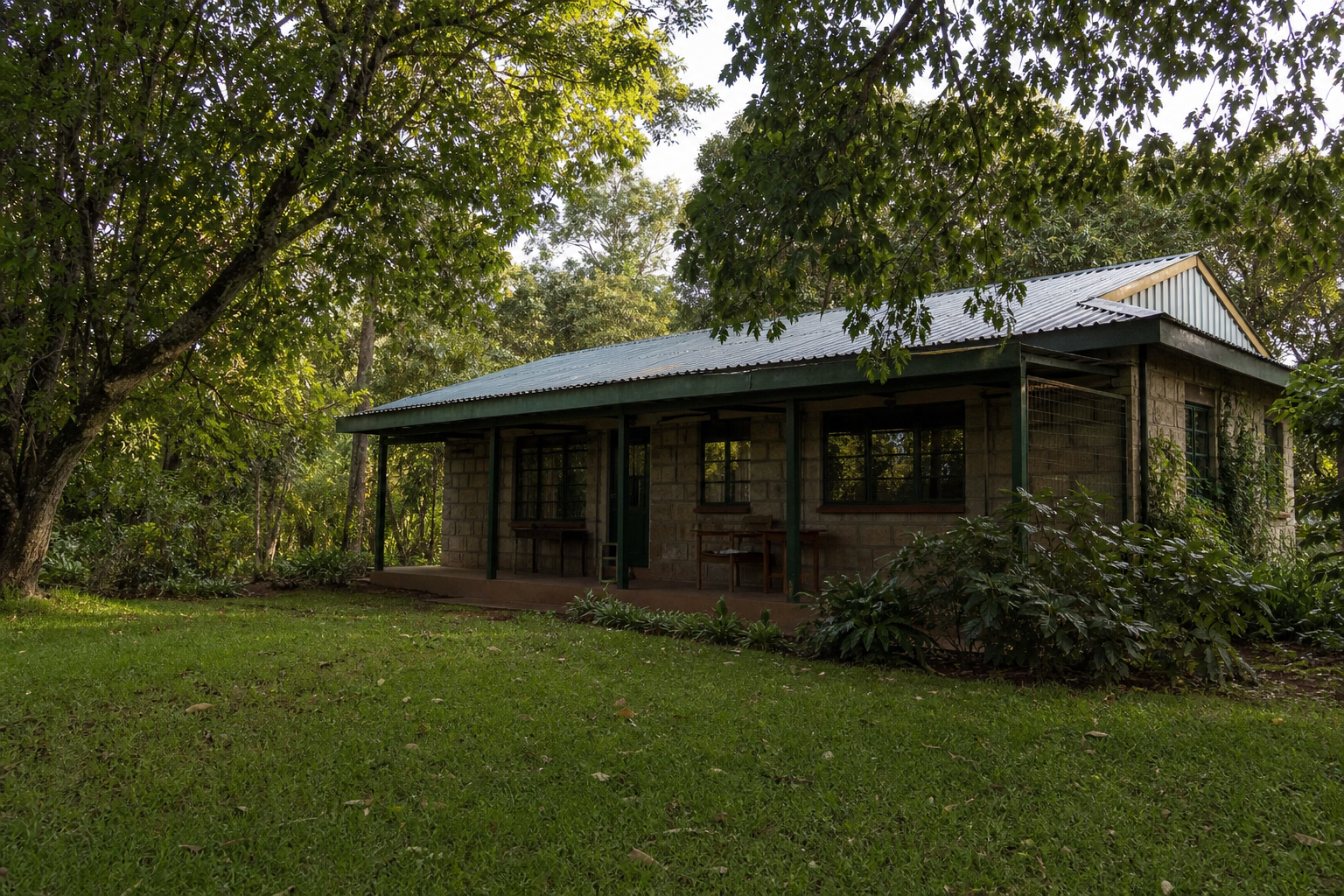 Rhino Ark field office among highland trees